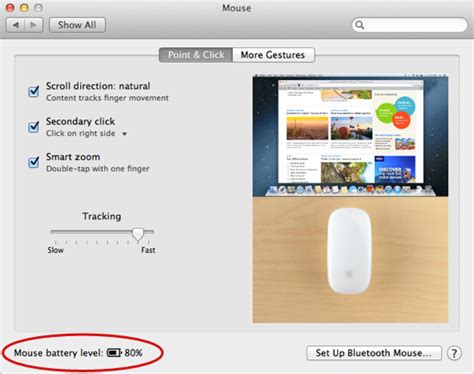 The Magic Mouse 6.0: A Seamless Experience for Creative Professionals